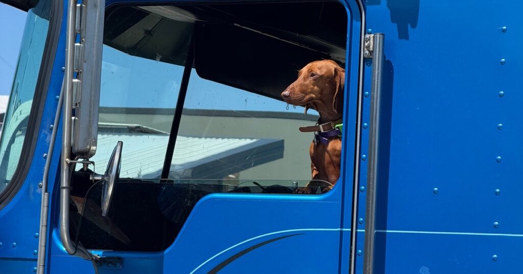 New driver just started at Browns Slipway